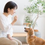Positive Reinforcement Dog Training: An Easy Guide for Owners