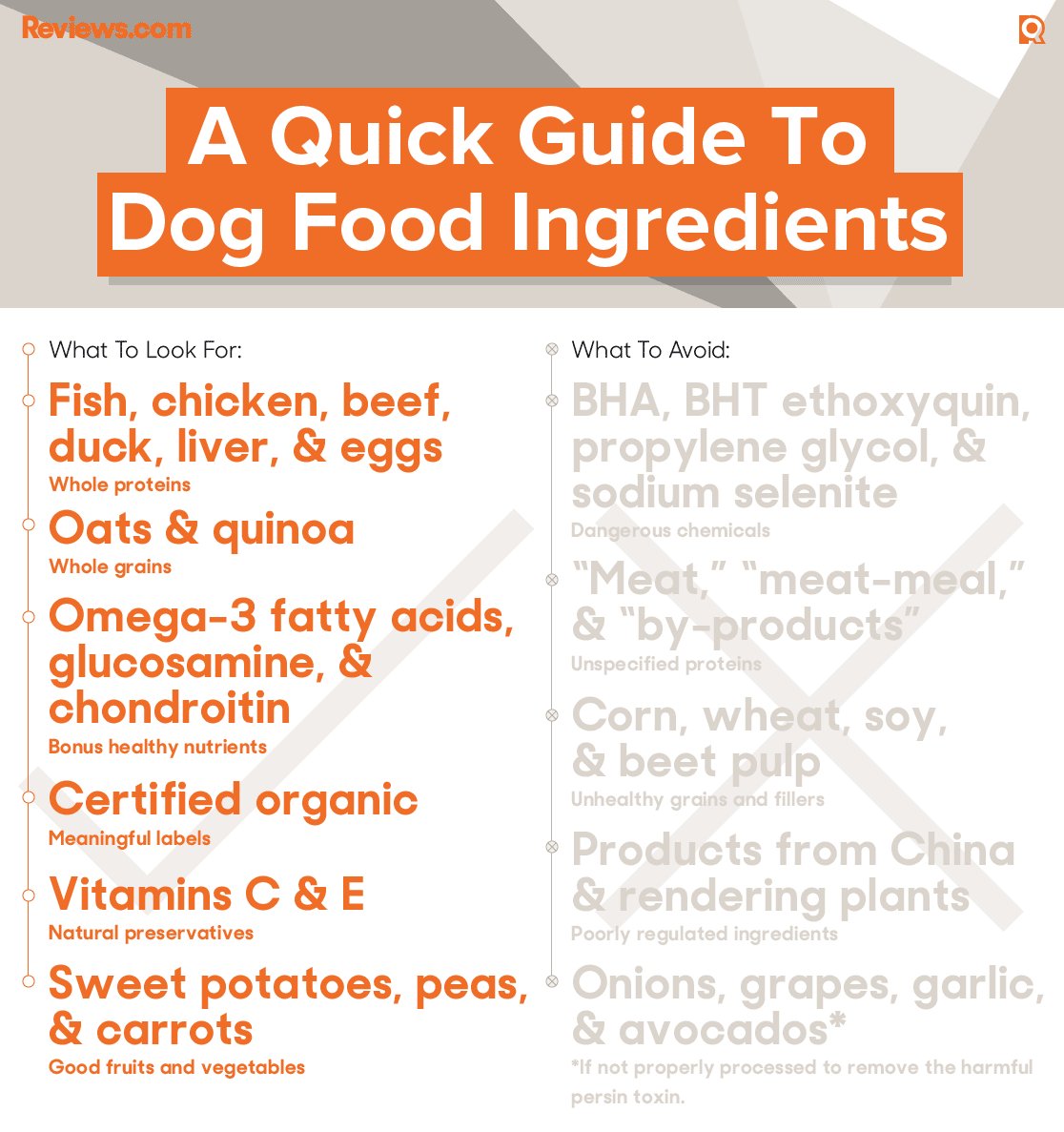 Dog food ingredients to avoid guide