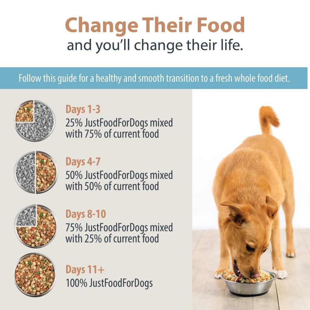 Before You Start the Food Transition