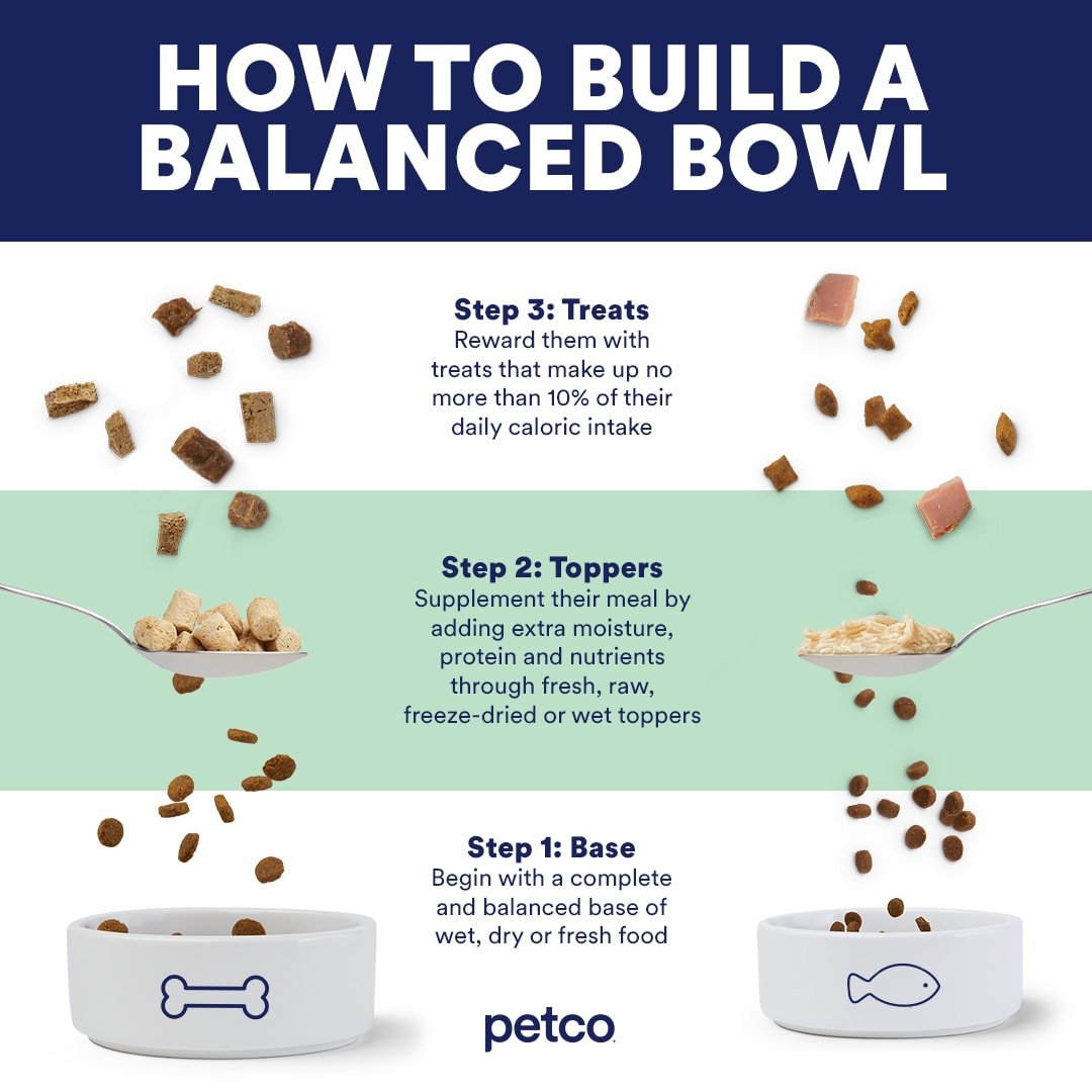 Building a Balanced Dog Meal