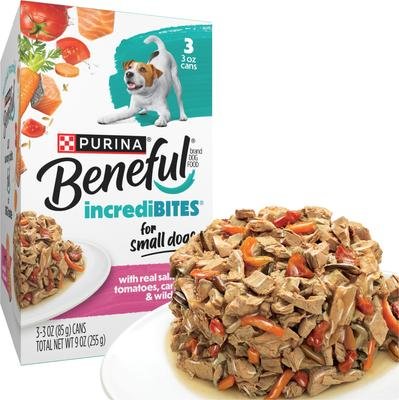 Vet tip 3: Weigh the pros of dry food