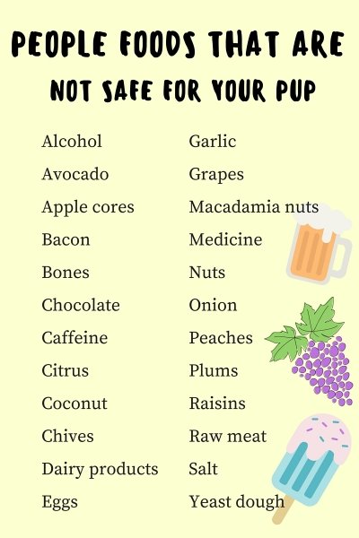 Safe Ingredients and Foods to Avoid