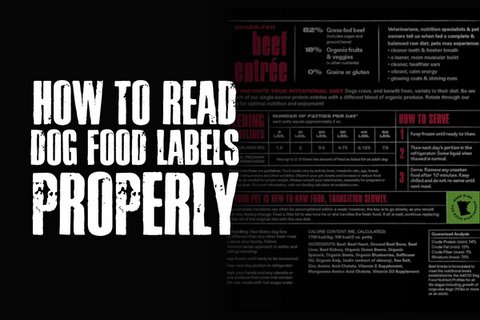 Reading dog food labels correctly
