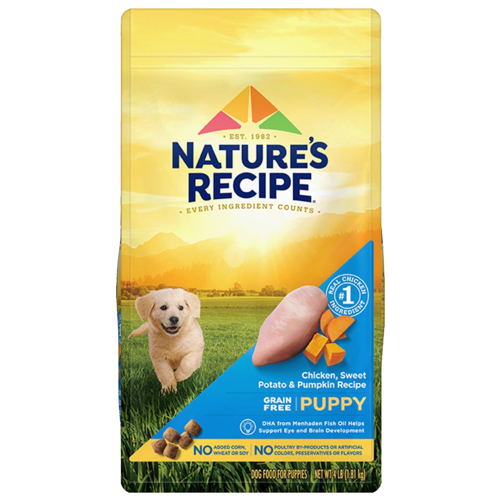 4. Artificial Colors and Flavors