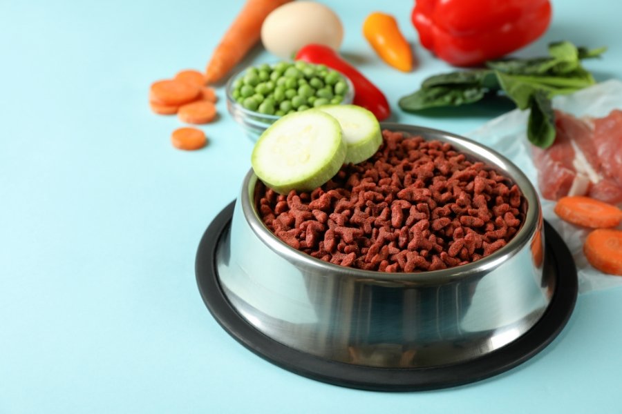 Choosing the Right New Food Long Term