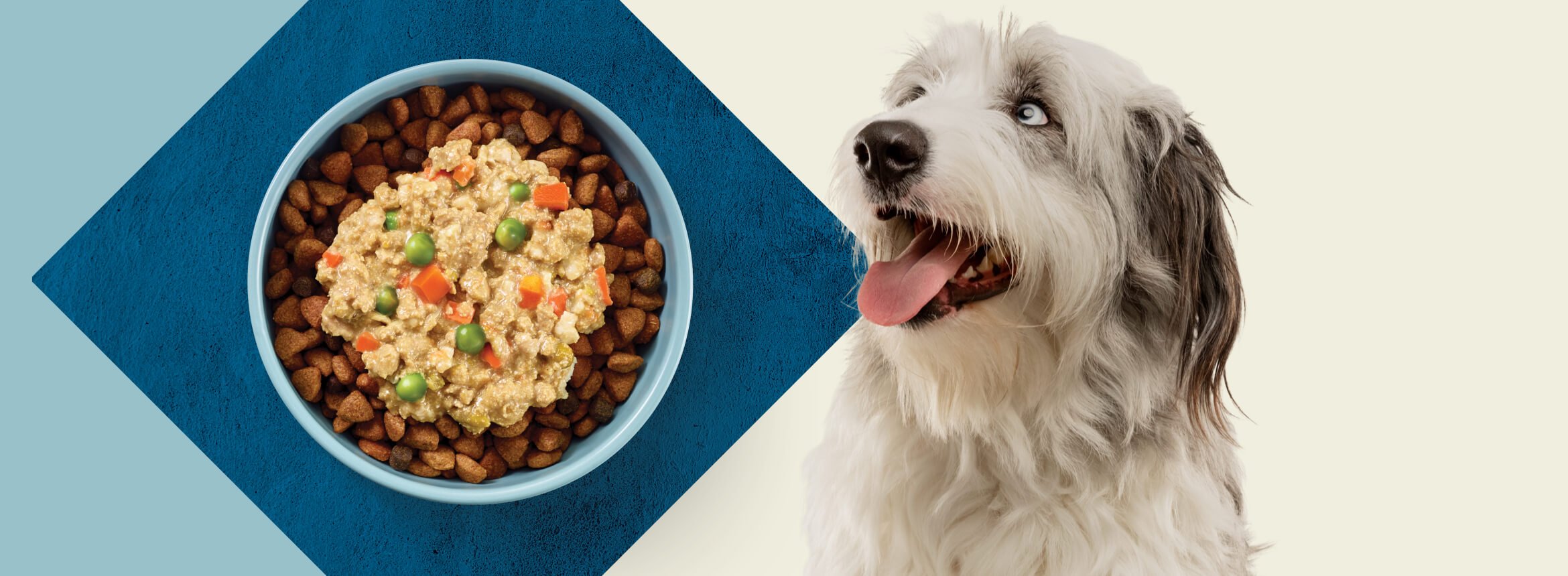 Vet tip 7: Mixing wet and dry safely
