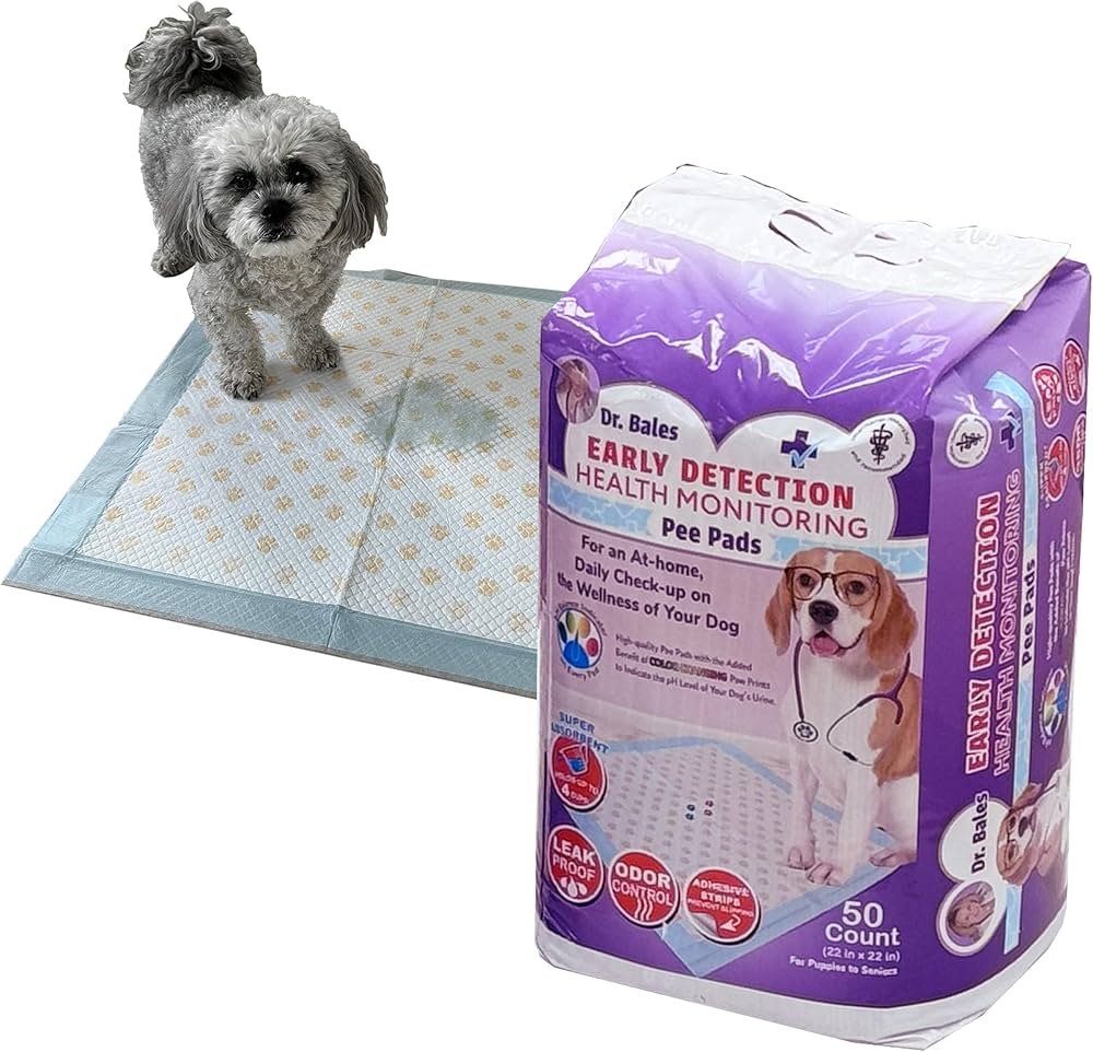 Monitoring your dog’s health on new food