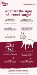 Dog Health: Lethargy Causes and When to See a Vet
