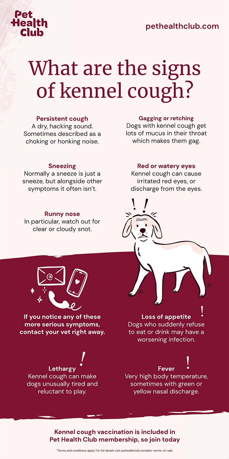 Dog Health: Lethargy Causes and When to See a Vet