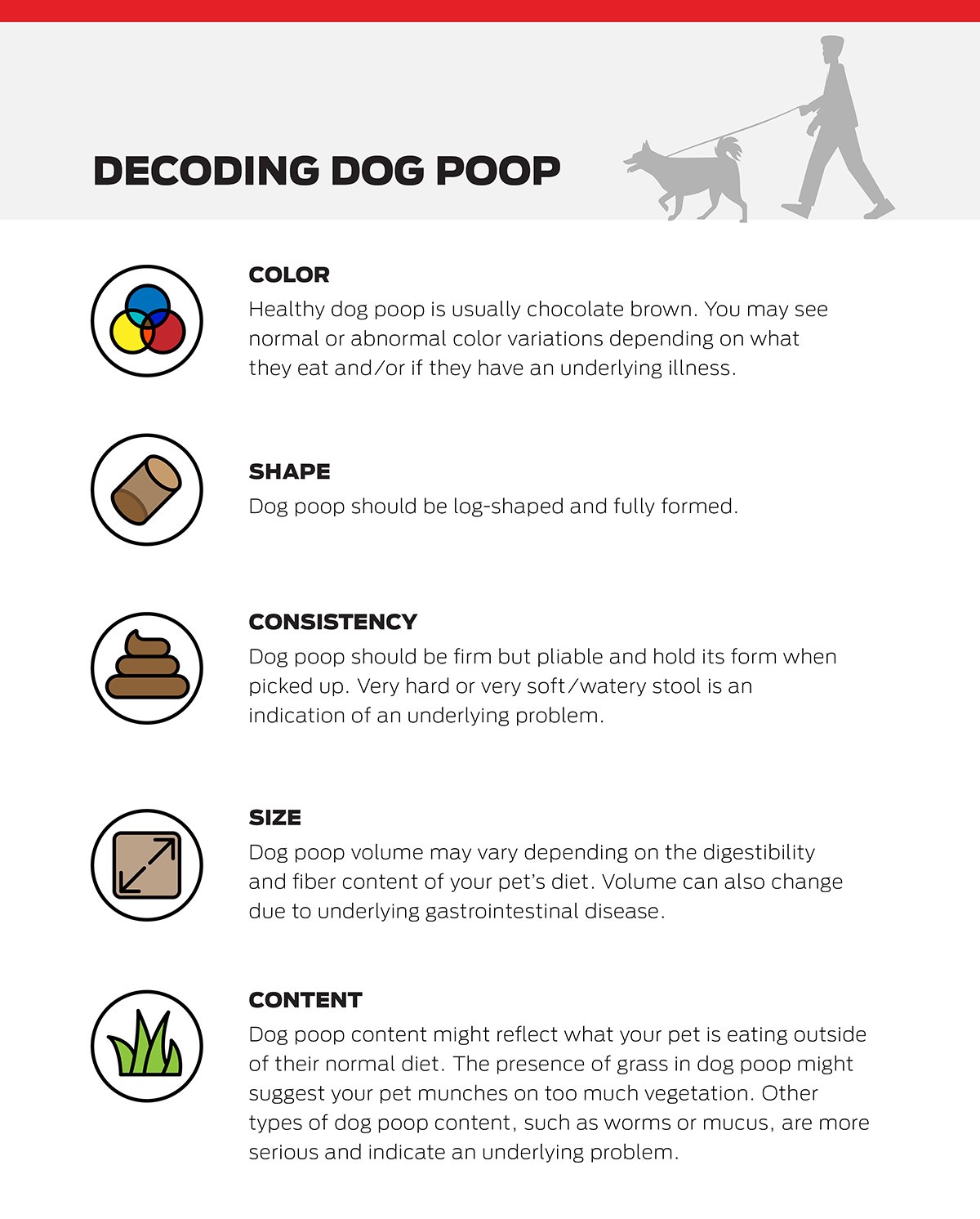 Dog Diarrhea Causes and Treatment: A Healthy Dog Guide