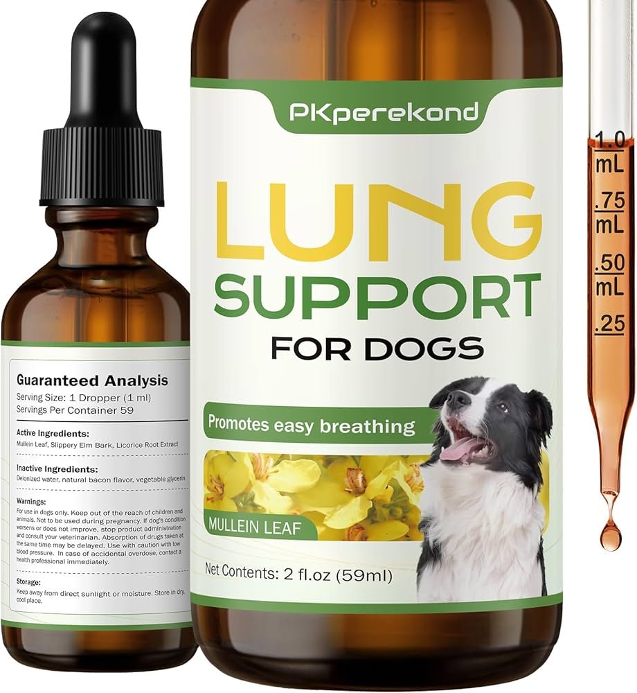 Is Your Dog’s Cough Serious?