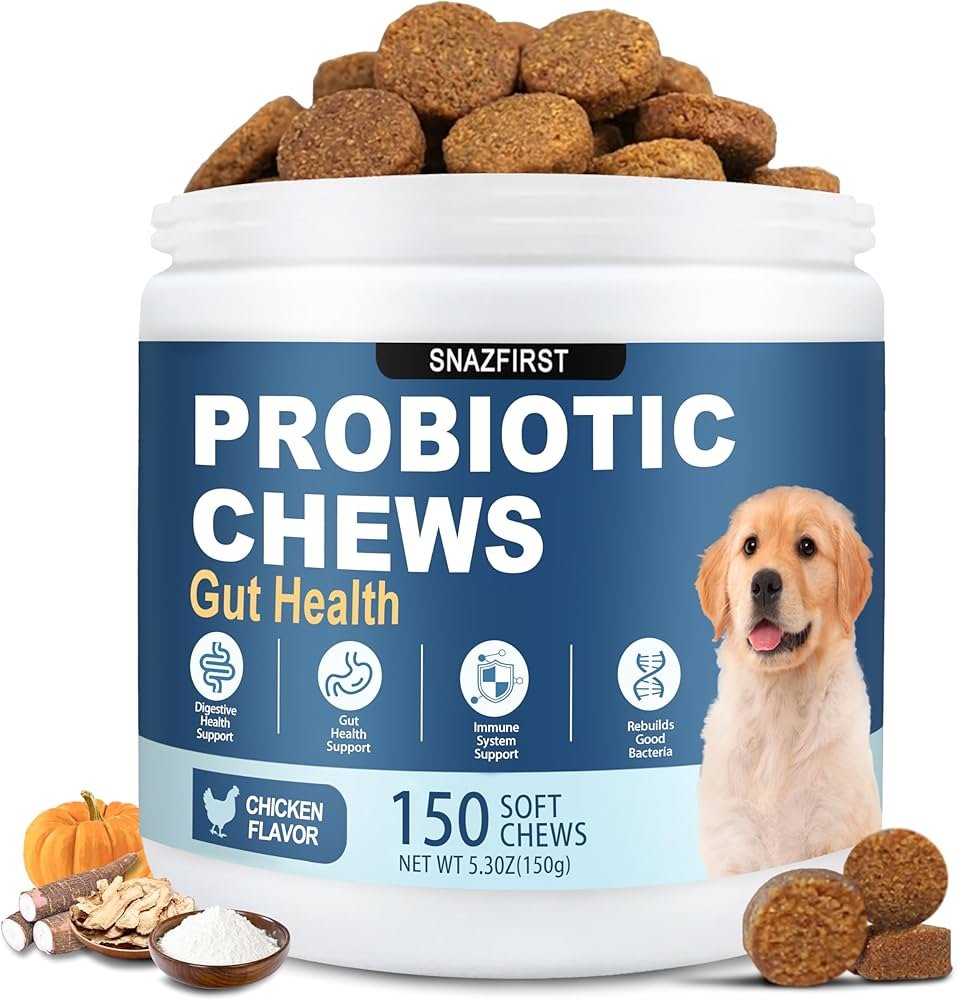 Health-focused dog diarrhea causes and treatment