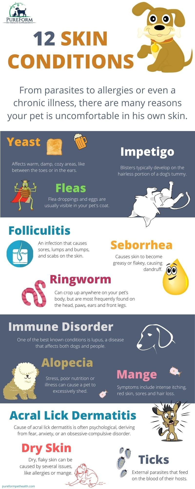 What causes skin problems in dogs?