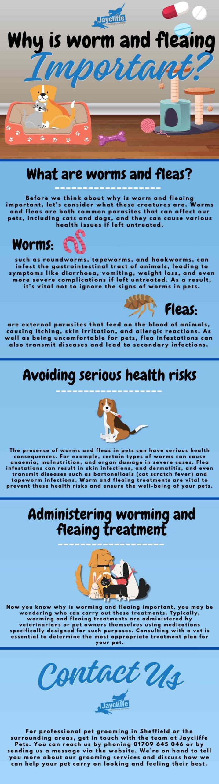Health risks by dog skin problem types