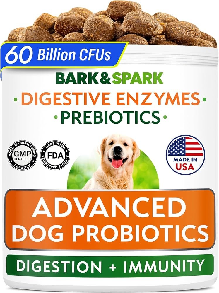 How Vets Diagnose Dog Diarrhea