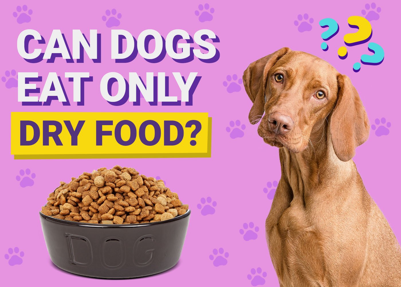 Dog Stopped Eating Dry Food Only