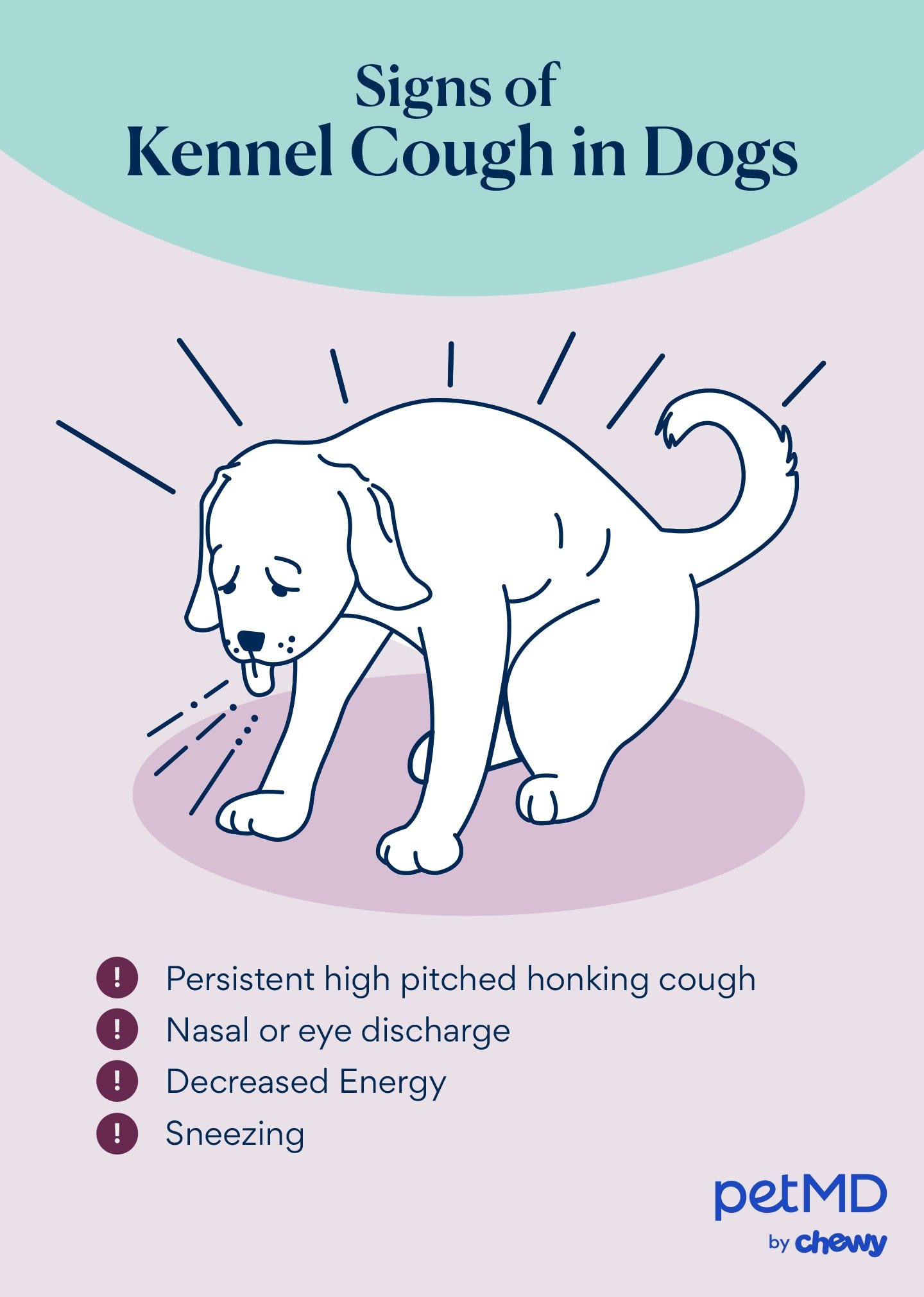 How Vets Diagnose a Dog’s Cough