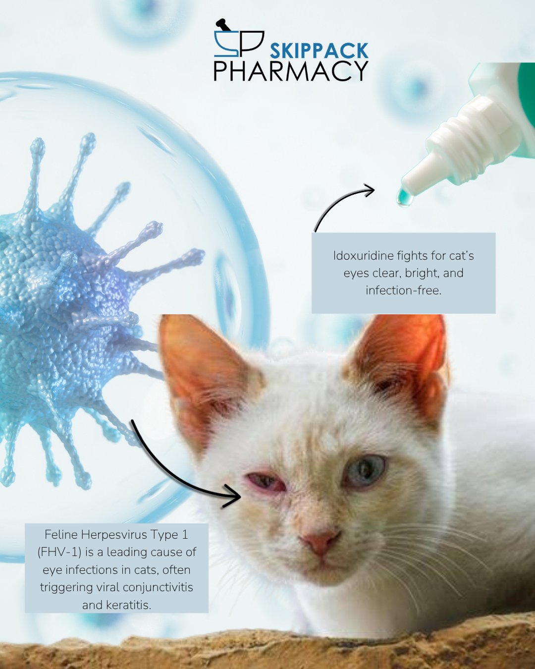 When to Call the Vet About Eye Discharge