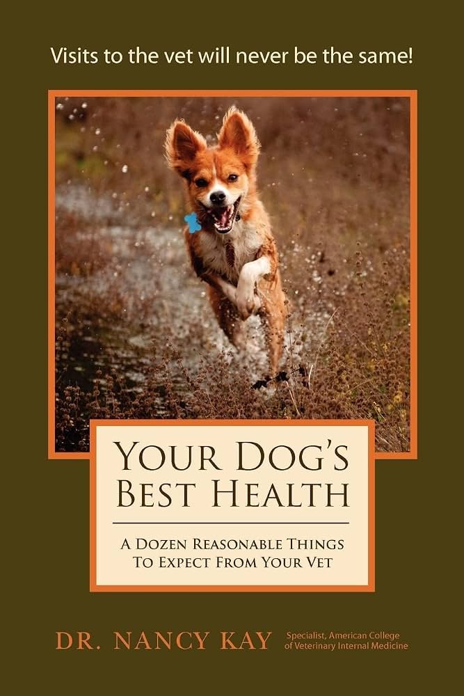 What to Expect at the Vet