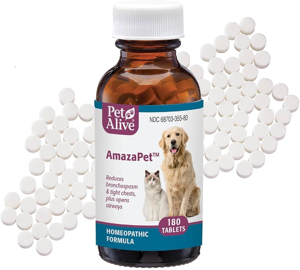 Safe Home Care for a Coughing Dog