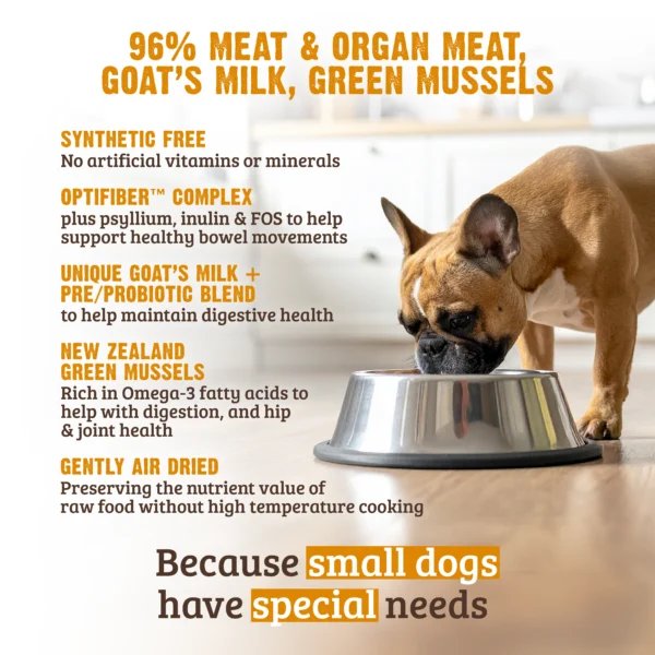 Newly Adopted Dog Not Eating