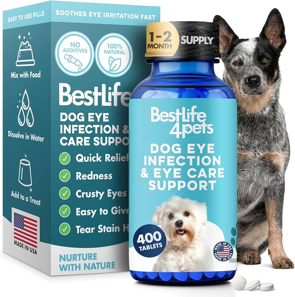 Summary of Dog Eye Discharge Causes and Care