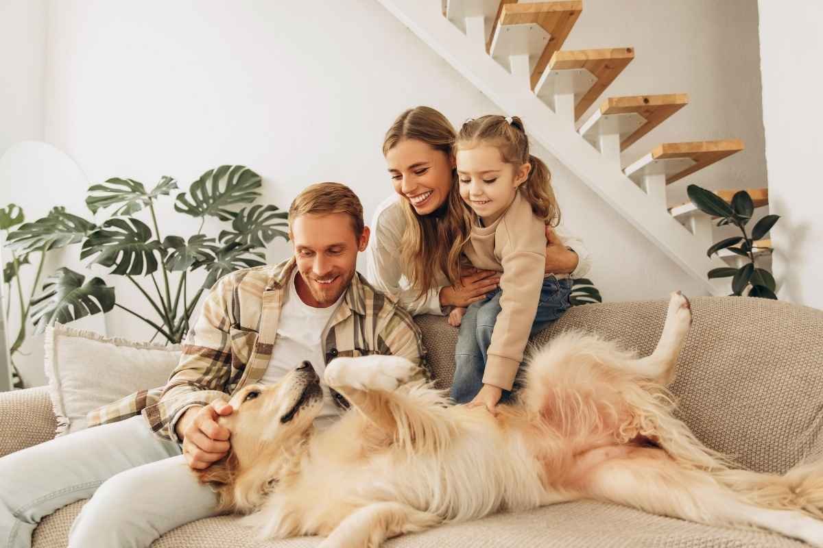 What Makes a Good Family Dog?