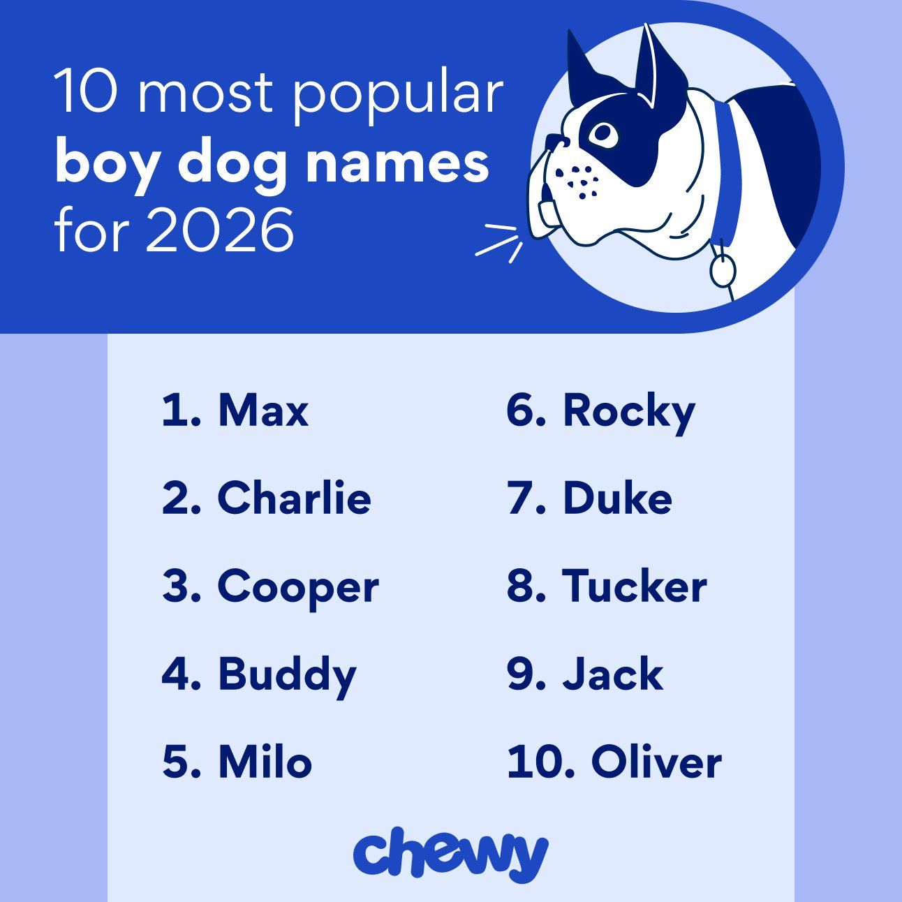 Lifestyle male dog names by theme