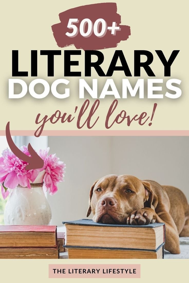 Lifestyle Unique Dog Names List