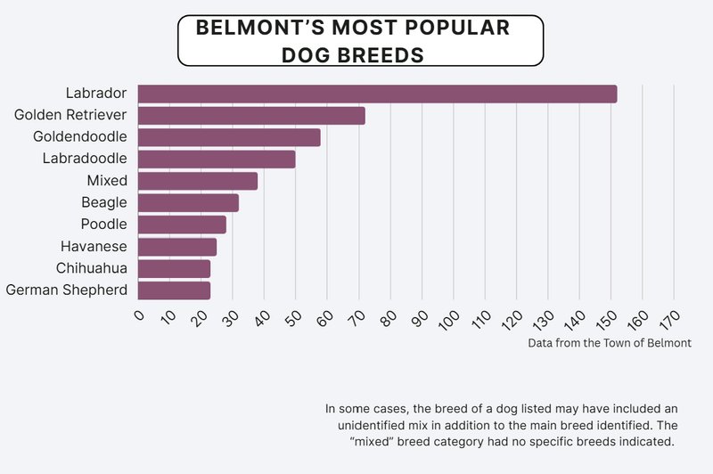 Lifestyle Dog Names by Breed