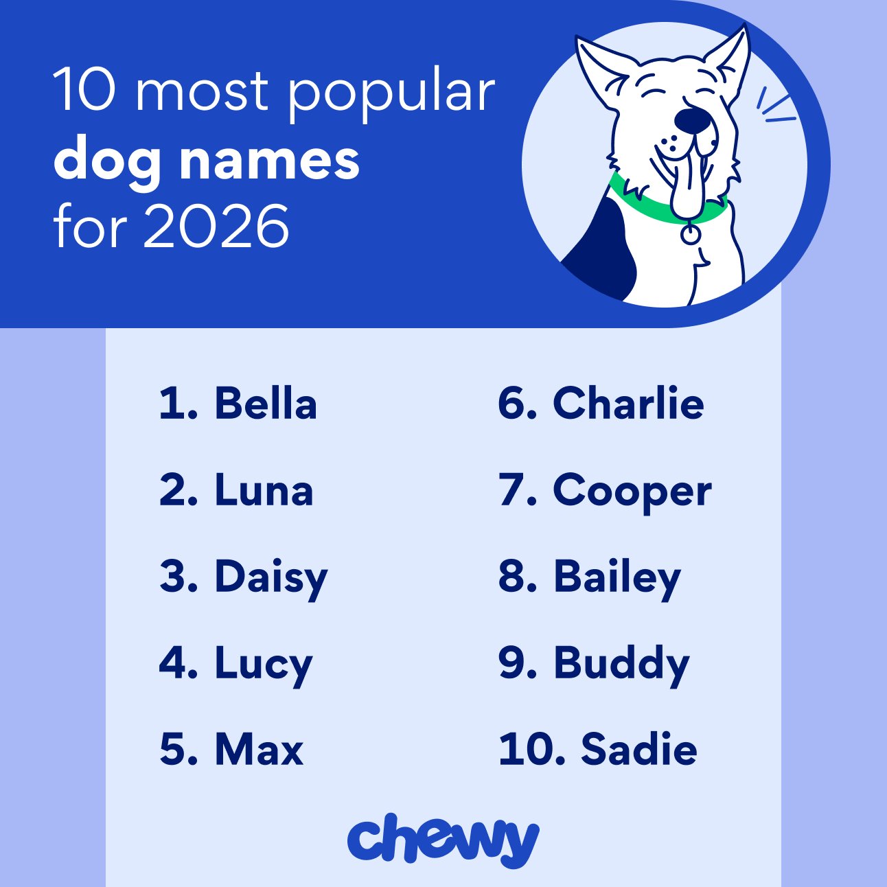 Trendy Pop Culture Dog Names
