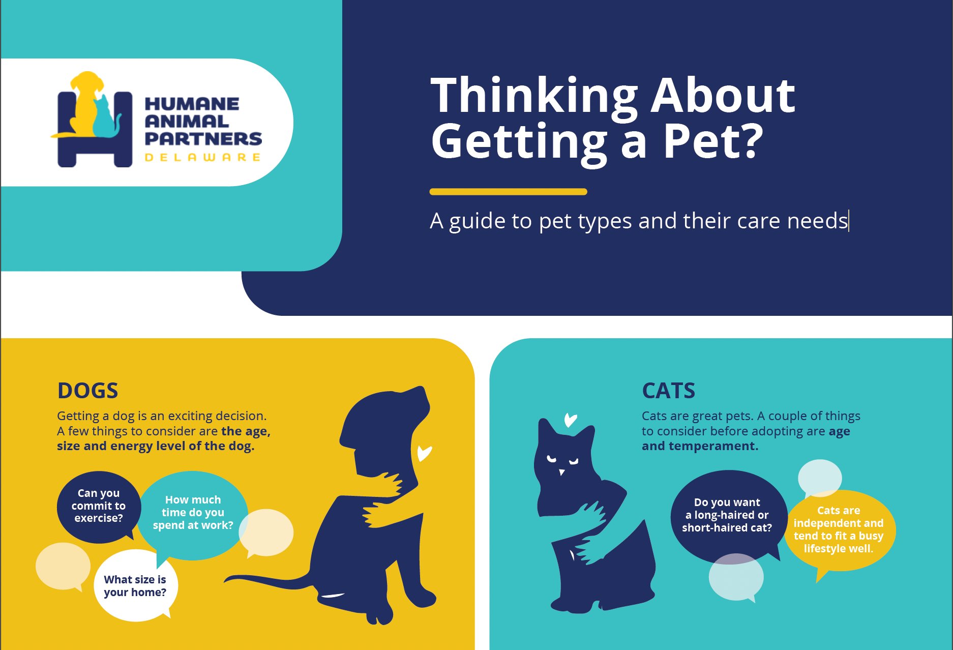 Preparing Your Home for a Small Dog