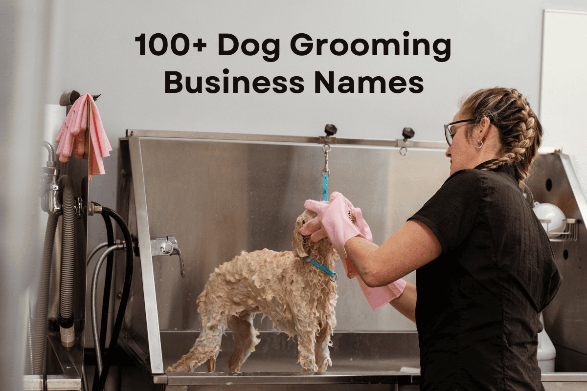 Chic and Aesthetic Dog Name Ideas