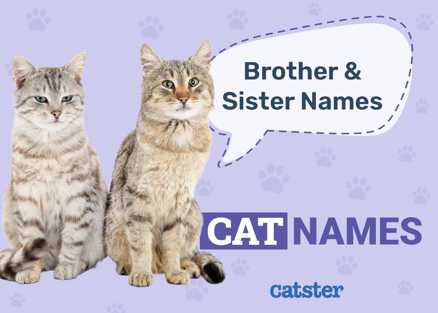 Matching Names for Dog Siblings