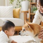 Lifestyle Guide: How to Introduce Dog to Baby Safely