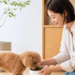 Dog Food: How Much to Feed a Dog (Vet-Backed Guide)