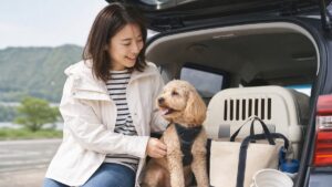 11 Lifestyle Traveling With a Dog Tips for Stress‑Free Trips