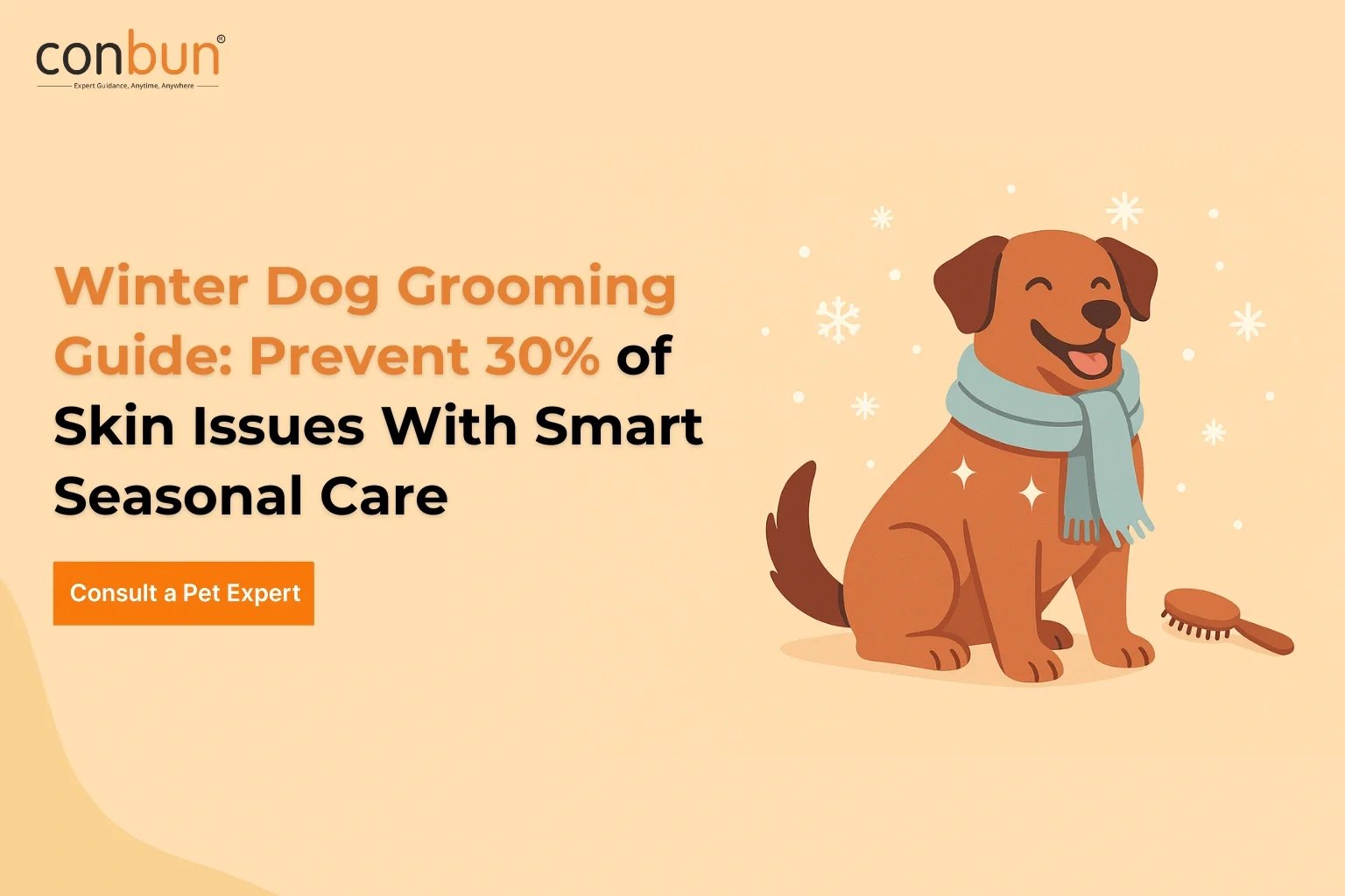 Why Smart Grooming Protects Your Dog’s Health