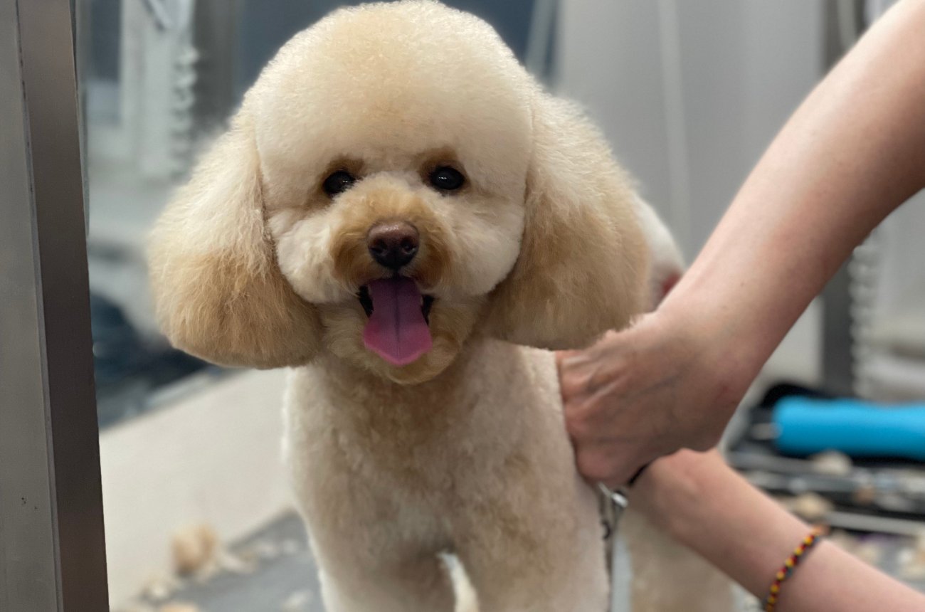 Why regular grooming matters