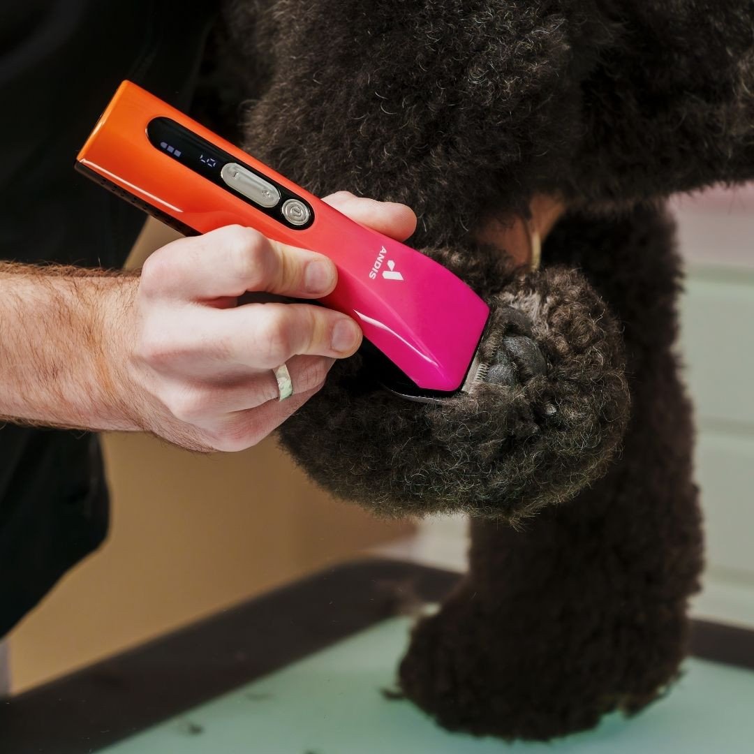 Nail, Paw and Pad Care Tools