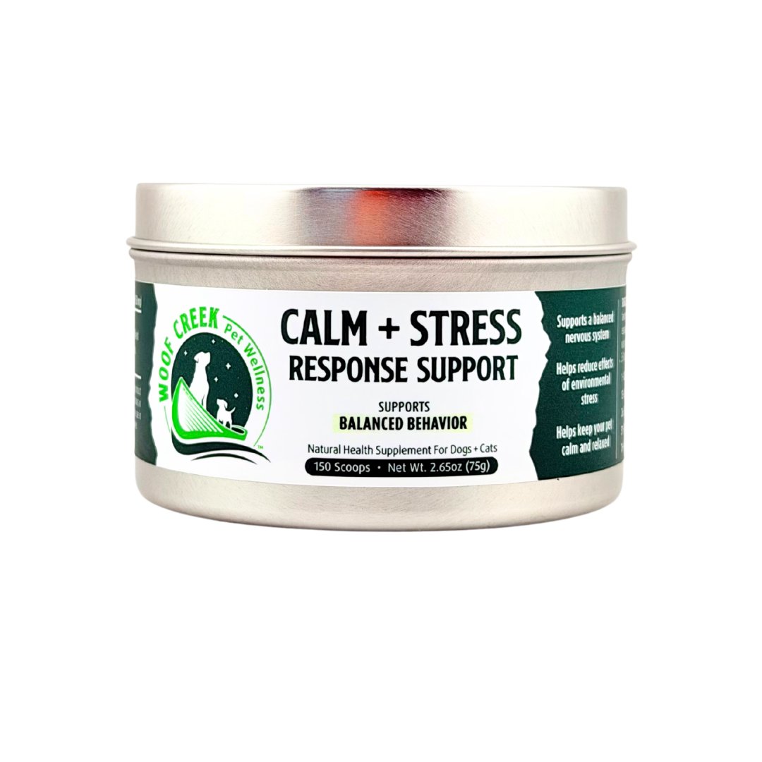 Calming Tools for Nervous Dogs