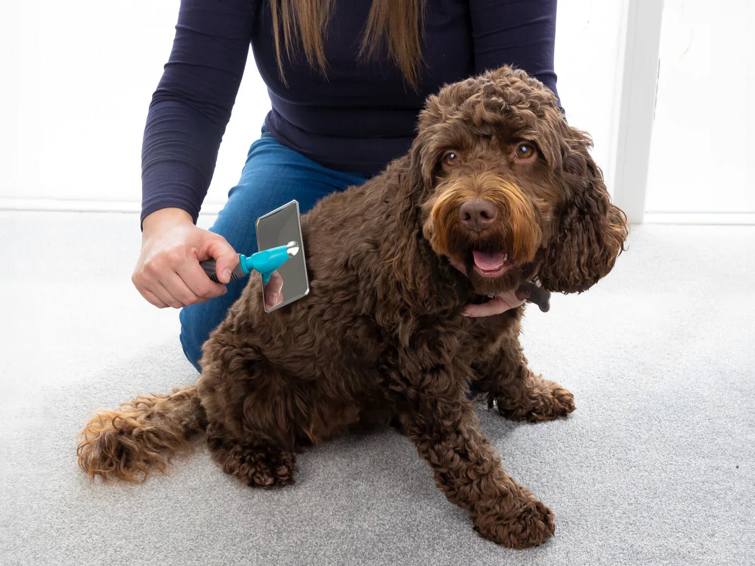 Lifestyle Tips for At-Home Dog Grooming