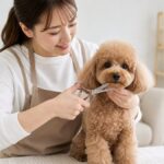 Lifestyle Tips: How to Cut Dog Hair at Home in 7 Easy Steps