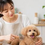 Lifestyle Guide: How to Make Your Dog Calm During Grooming