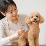 11 Lifestyle Dog Grooming Tips for Beginners (Easy Home Guide)