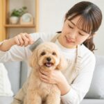 Lifestyle: How to Groom a Dog at Home in 7 Easy Steps
