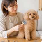 Lifestyle Dog Grooming Tools Guide: 9 Essentials for Home