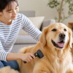 Lifestyle Guide: How to Deshed a Dog at Home in 7 Easy Steps