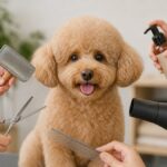 7 Health Dog Grooming Mistakes to Avoid for a Shiny Coat